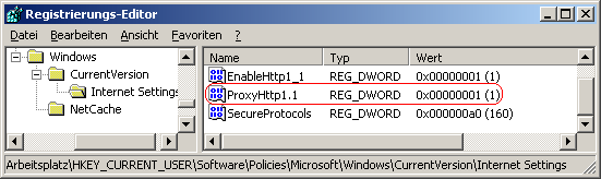 ProxyHttp1.1