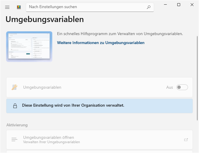 "Umgebungsvariablen" ("Environment Variables")