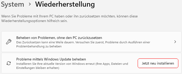 Probleme mittels Windows Update beheben